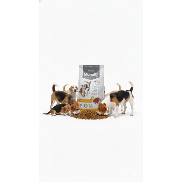 monello-special-premium-adult-dog-go-dry-food-beef-flavor-15kg